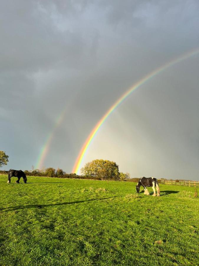 Appaloosa Suite With Amazing Views Of Stud Farm. Driffield Exteriör bild